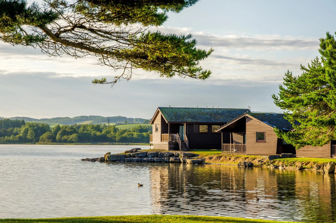 Wooden lakeside cabins on a calm lake framed by pine branches at sunrise
